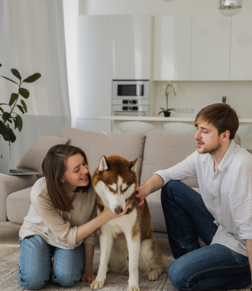 Couple playing with a a dog indoors